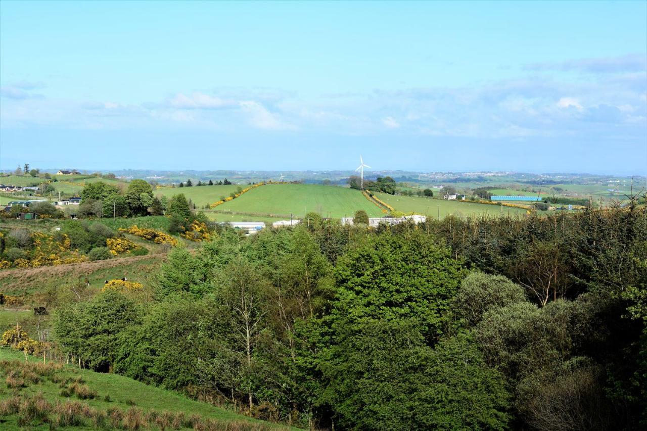 Crockgarve B And B Galbally Esterno foto